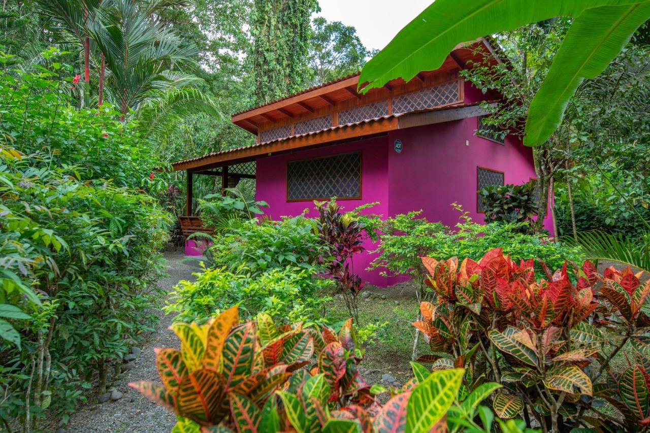 Villa Pina Dorada Dependencia Del Hotel Casa Merlin Puerto Viejo de Talamanca Экстерьер фото