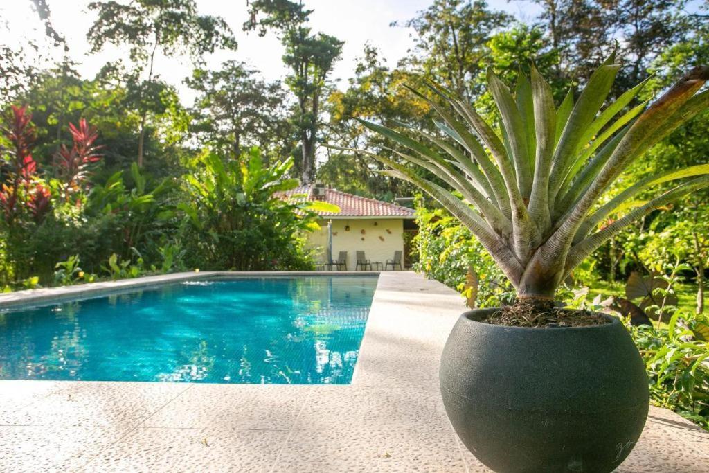 Villa Pina Dorada Dependencia Del Hotel Casa Merlin Puerto Viejo de Talamanca Экстерьер фото